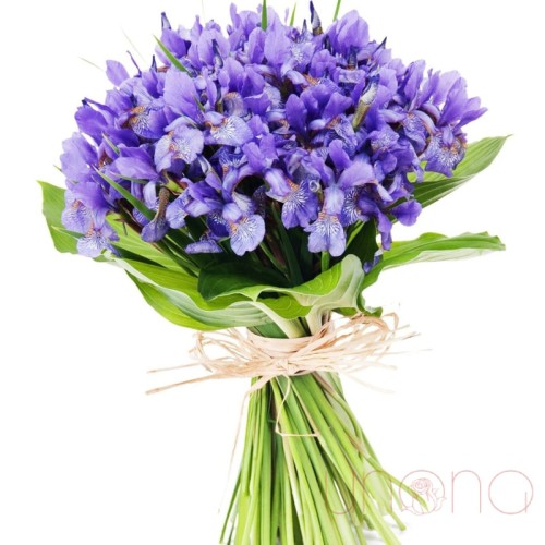 Lovely Blue Bouquet (Regular)